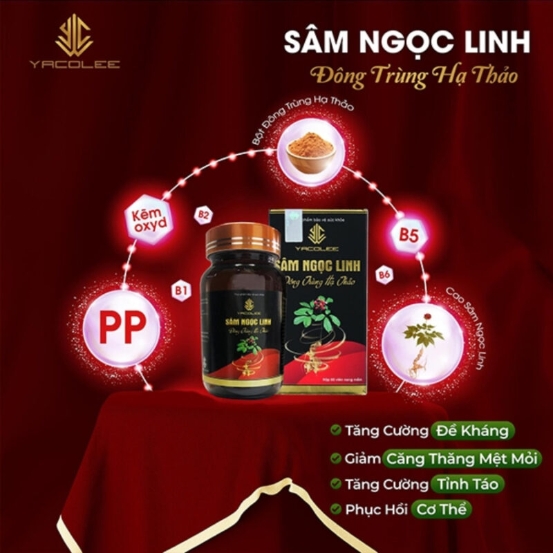 Viên đông trùng hạ thảo Sâm Ngọc Linh Yacolee (6)