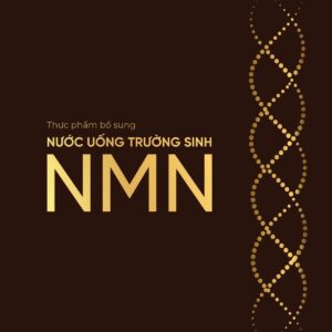 nước uống trường sinh NMN Thingo 1