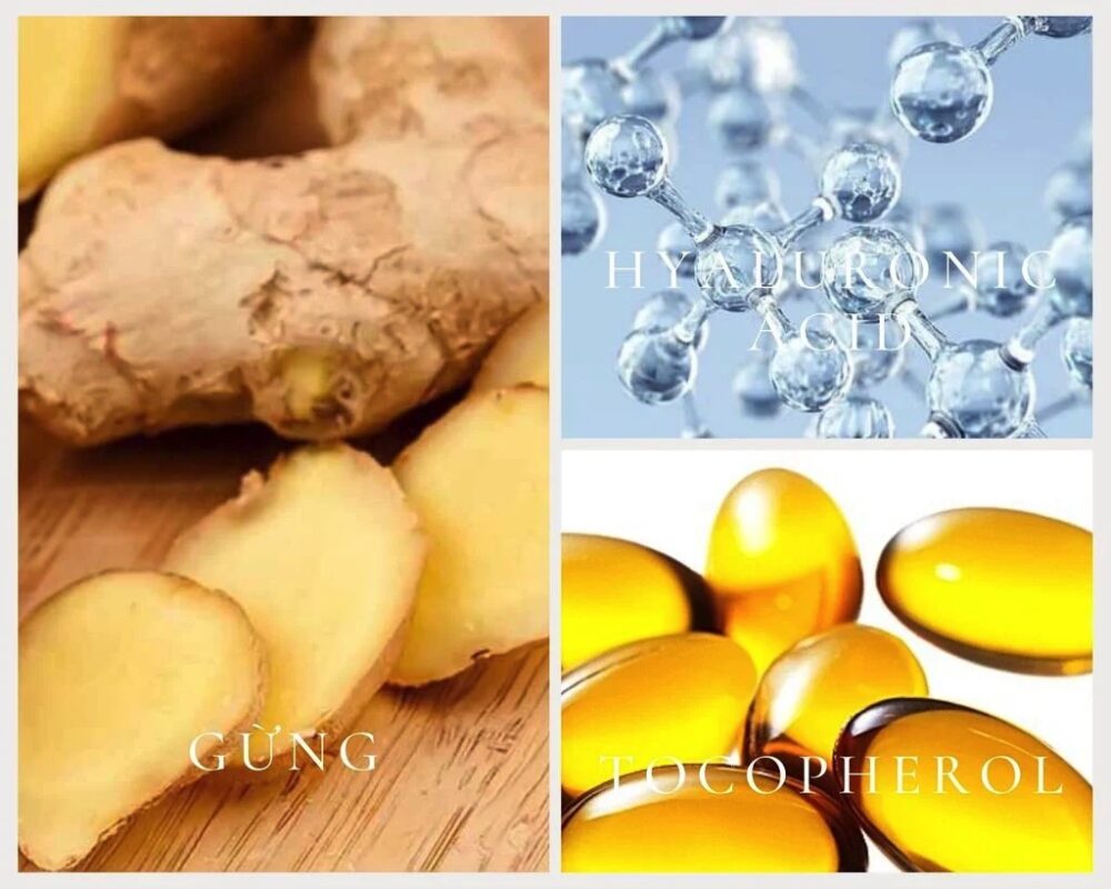 Dầu gội gừng trắng Weilaiya Ginger 3