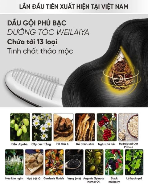 thành phần Dầu gội phủ bạc dưỡng tóc Weilaiya 4