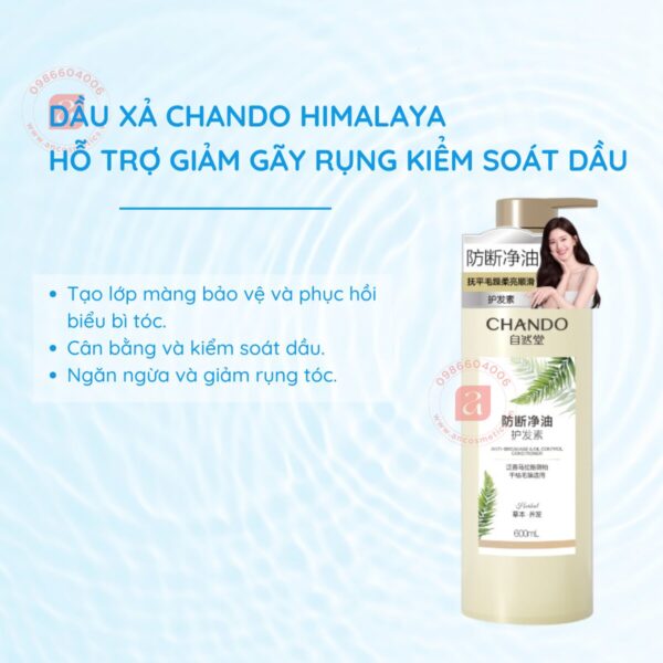 Dầu xả CHANDO Himalaya hỗ trợ giảm gãy rụng kiểm soát dầu 600ml (4)