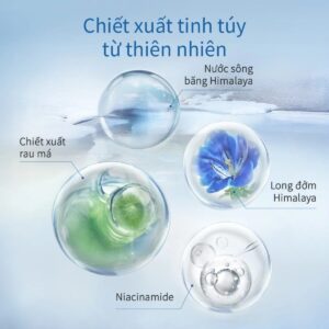 Tinh Chất Dưỡng Ẩm Vùng Băng Tuyết CHANDO Himalaya 40ml Chứa Rau Má Hàng Chính Hãng (3)