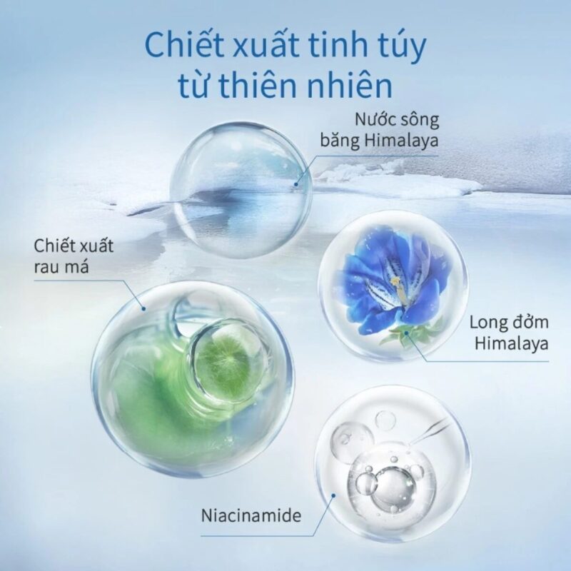 Tinh Chất Dưỡng Ẩm Vùng Băng Tuyết CHANDO Himalaya 40ml Chứa Rau Má Hàng Chính Hãng (3)