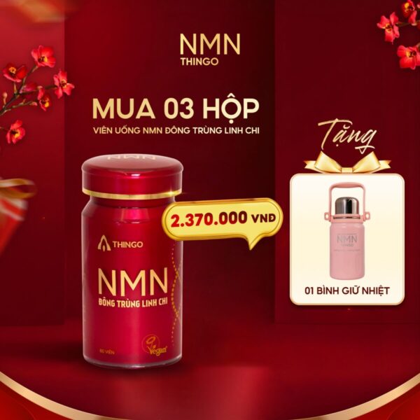 khuyến mãi mua 3 hộp viên uống nmn đông trùng linh chi thingo