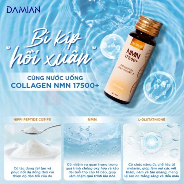 nước uống collagen nmn damian chính hãng ancosmetics 3