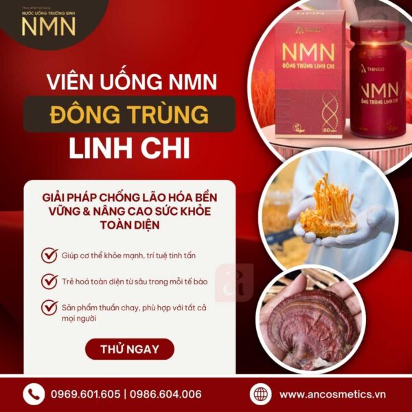 viên uống nmn đông trùng linh chi thingo 2