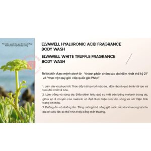 Sữa tắm nước hoa nấm Truffle Elvawell - Sugar Honey 500ml (5)